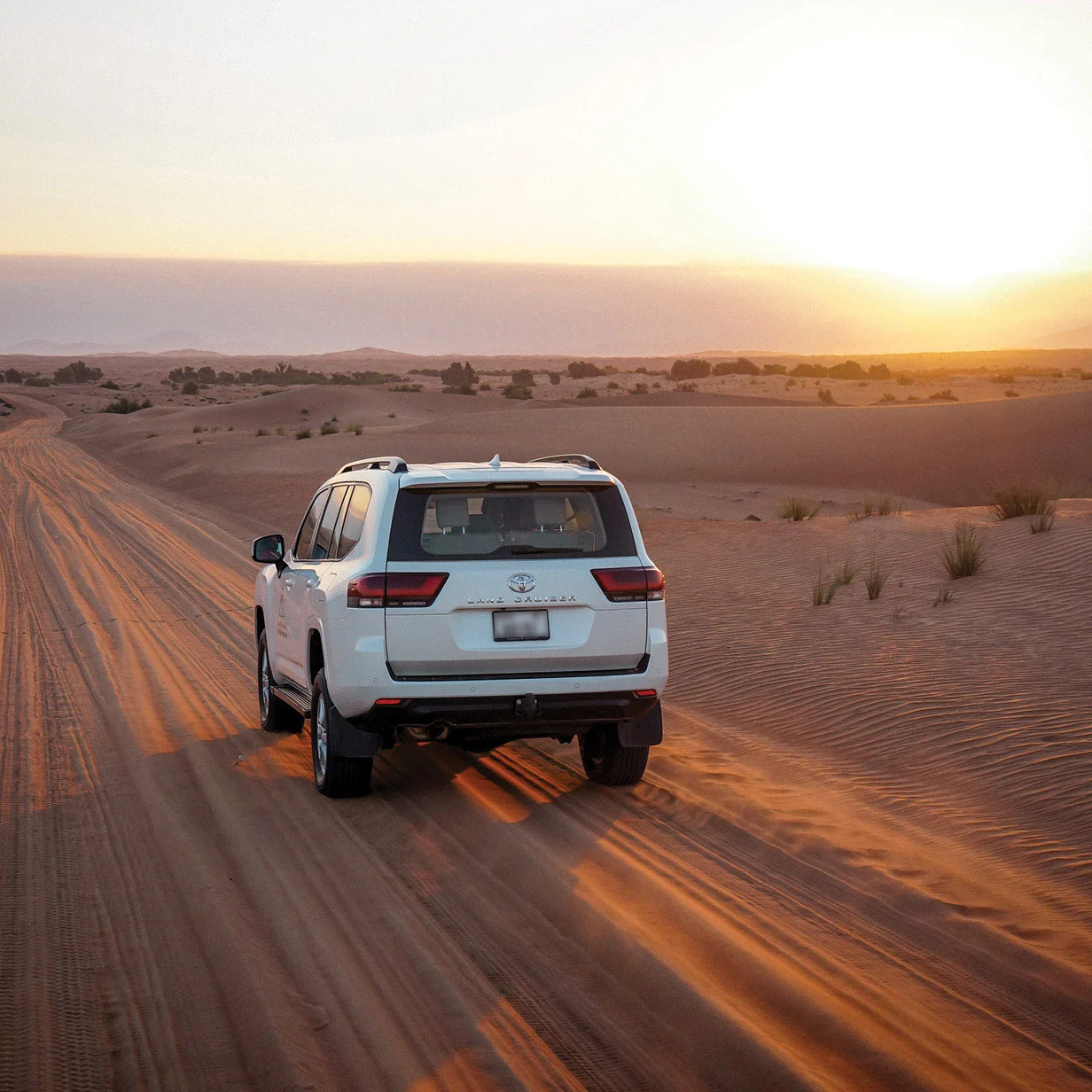 Desert Safari Dubai